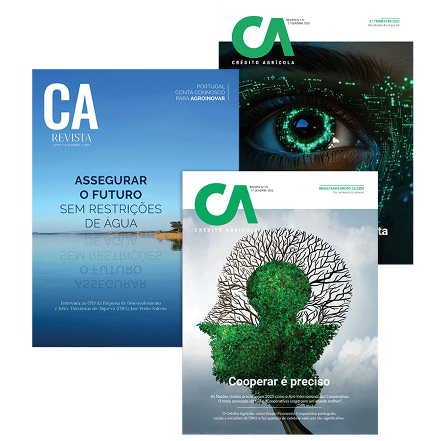 SERVIÇOS GRÁFICOS (LIVROS/MANUAIS)