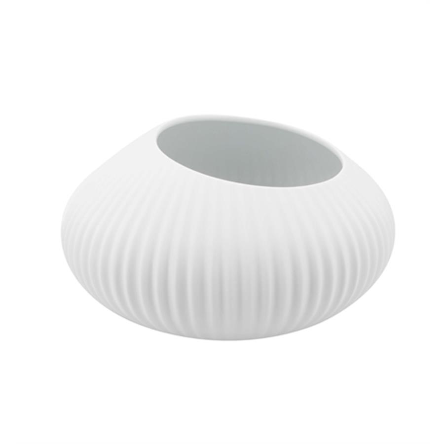 TAÇA SHELL WHITE