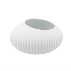 TAÇA SHELL WHITE